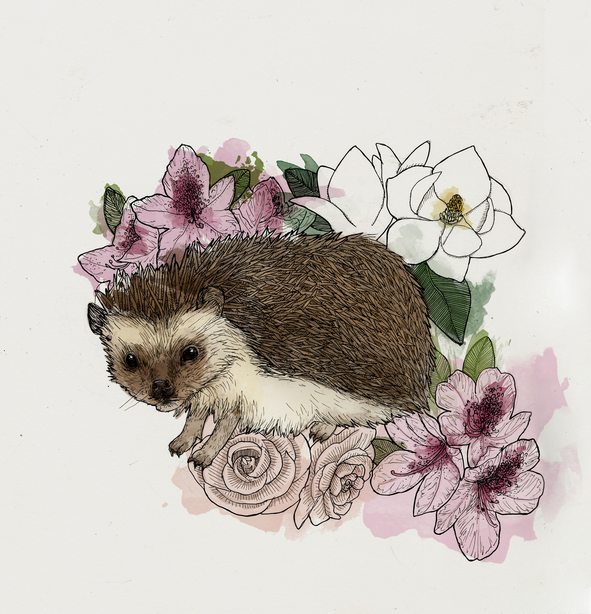 Midge digitally colored - Photoshop