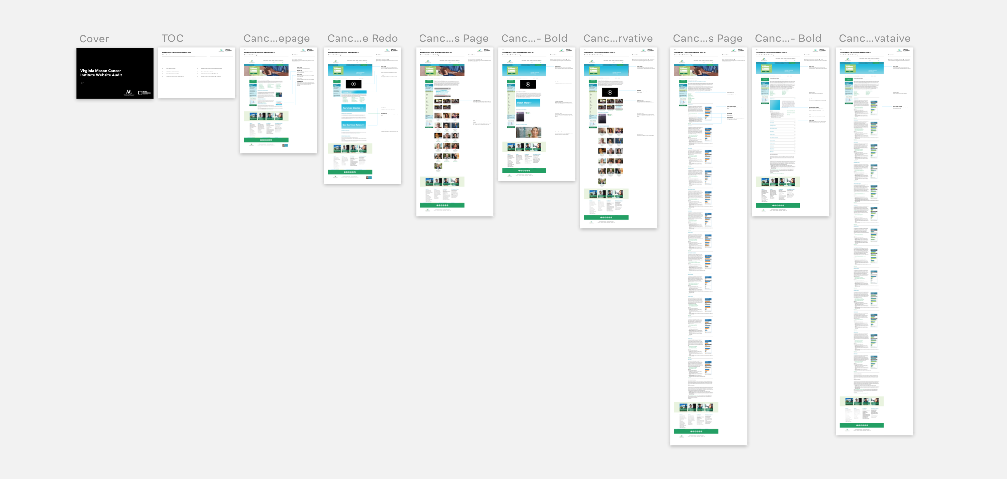 VM - CI - Website Audit