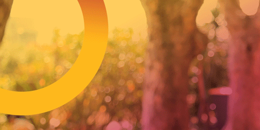 1---Circle-Treatment-2.gif