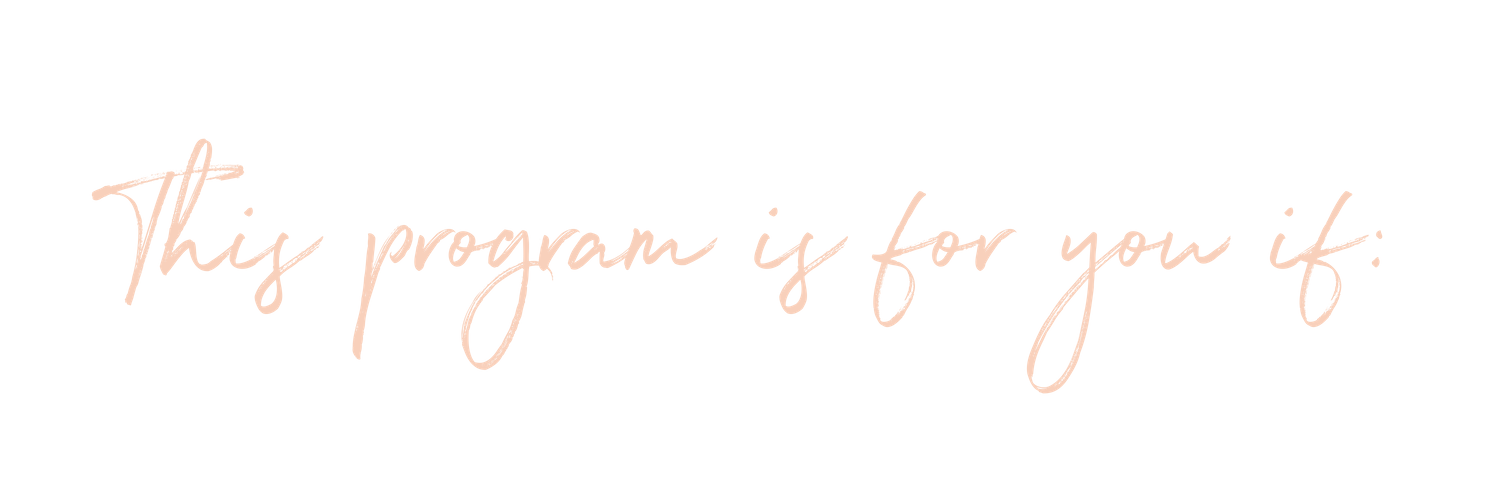 this program.png