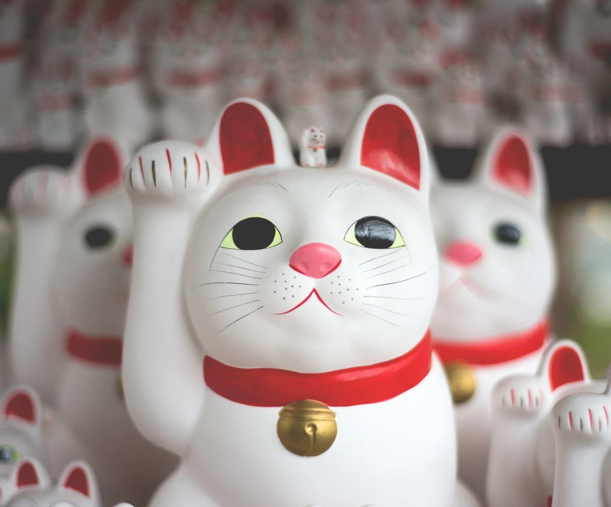 Freelancers – here’s how to make sure you’re still contributing to KiwiSaver.