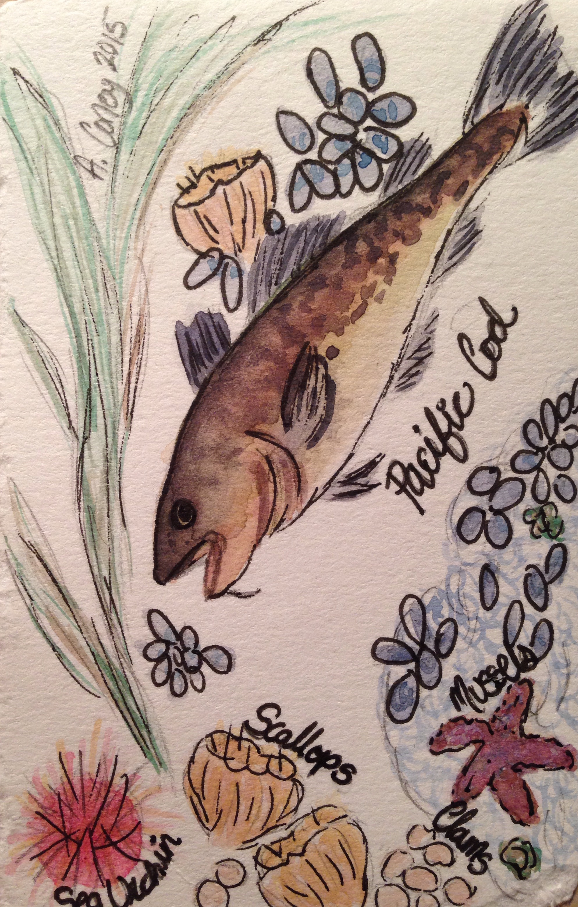 "June" 2015