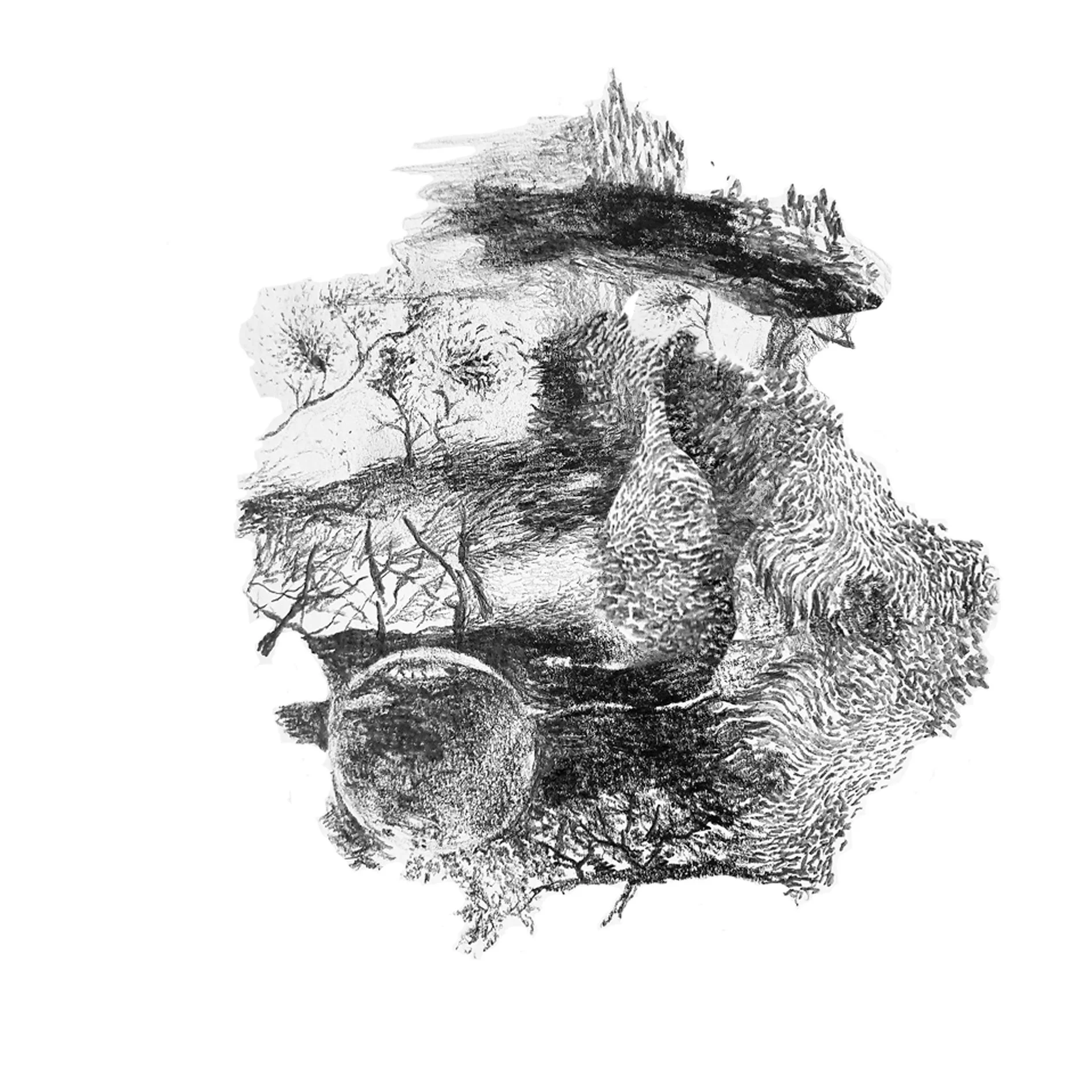 sketch5_bubble.jpg