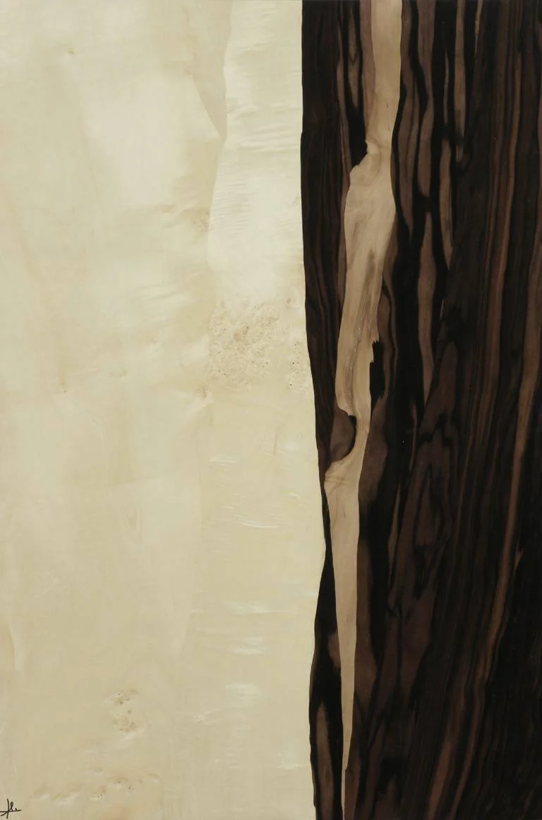 Moisan_Tableau Marqueterie_abstrait_Gd_25A3.jpg