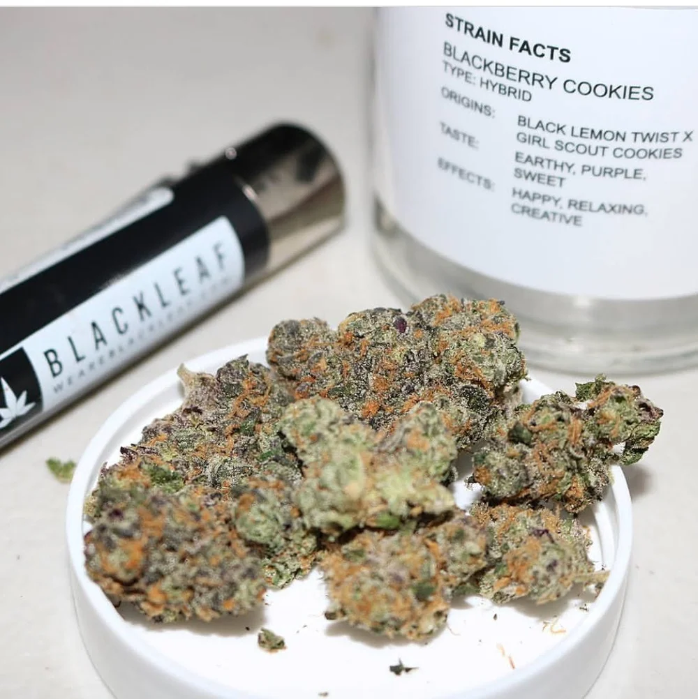 BlackLeaf — SEE THRU EYES
