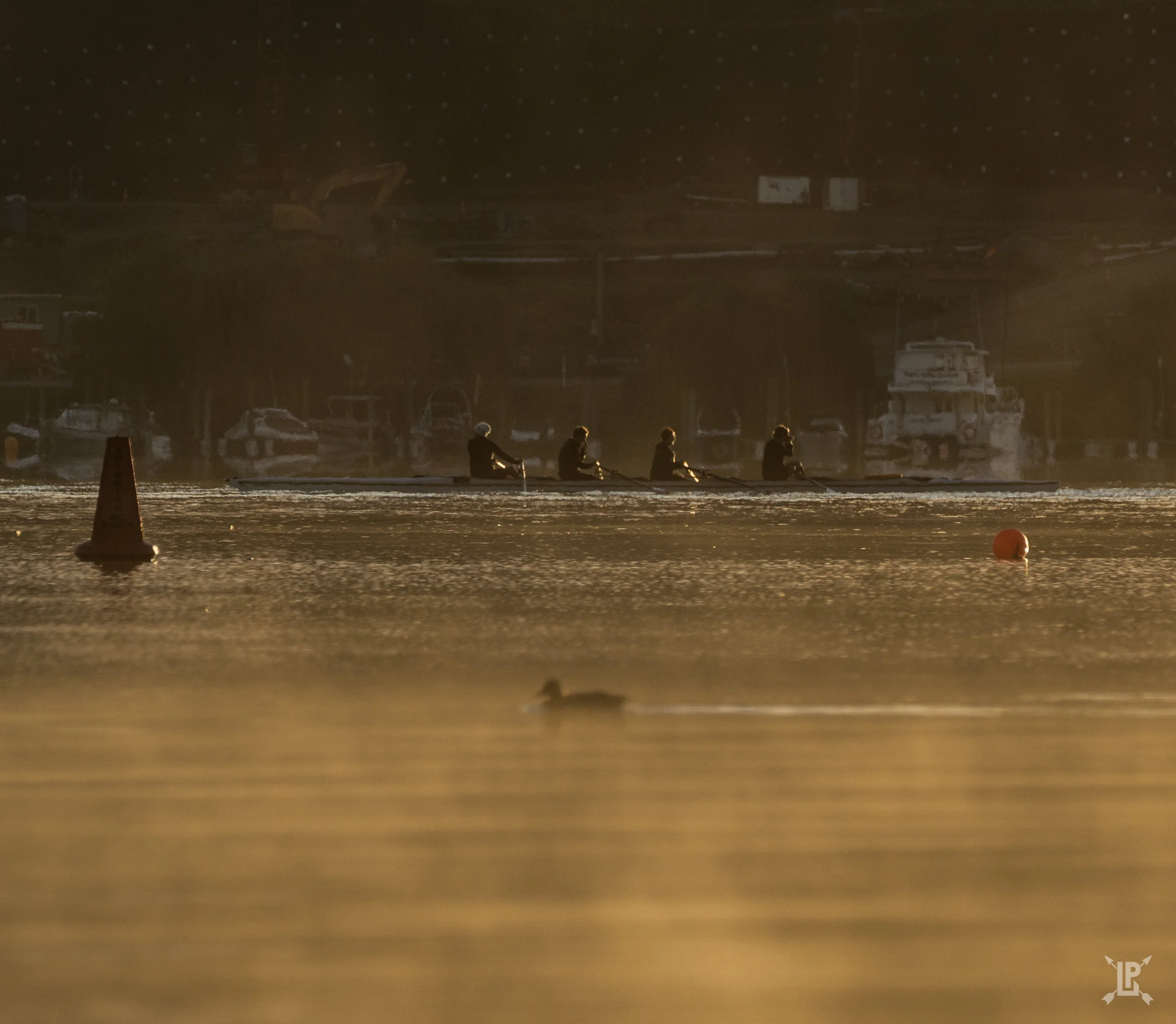 Boat crew racing a duck