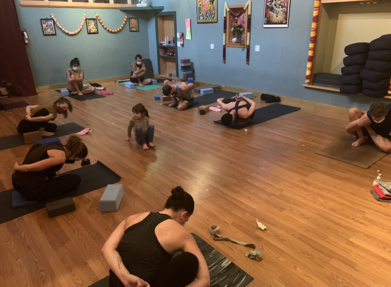 Introduction to Ashtanga: 8 Class Series