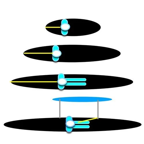 meta leash boards boats length.jpeg