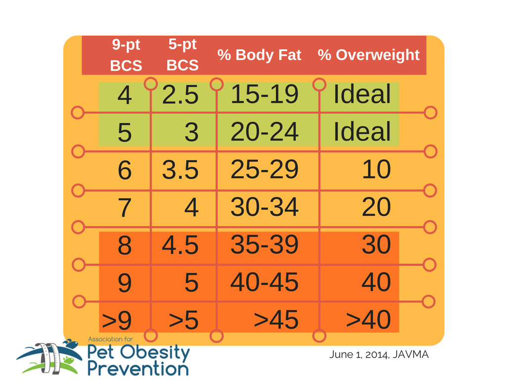 BCS_BodyFat_%Overwt.png