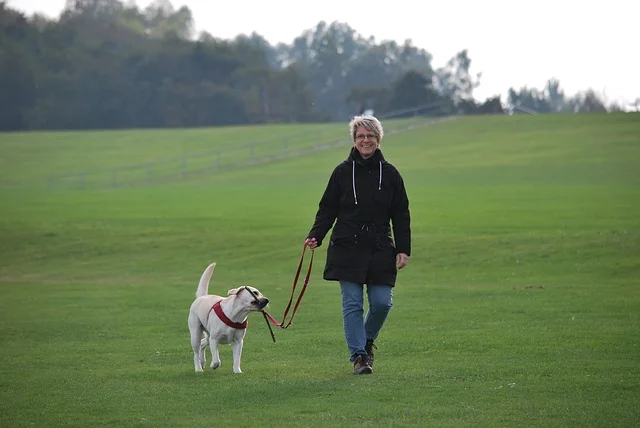 Walking the Dog: Tips for getting the most out of exercising your pooch