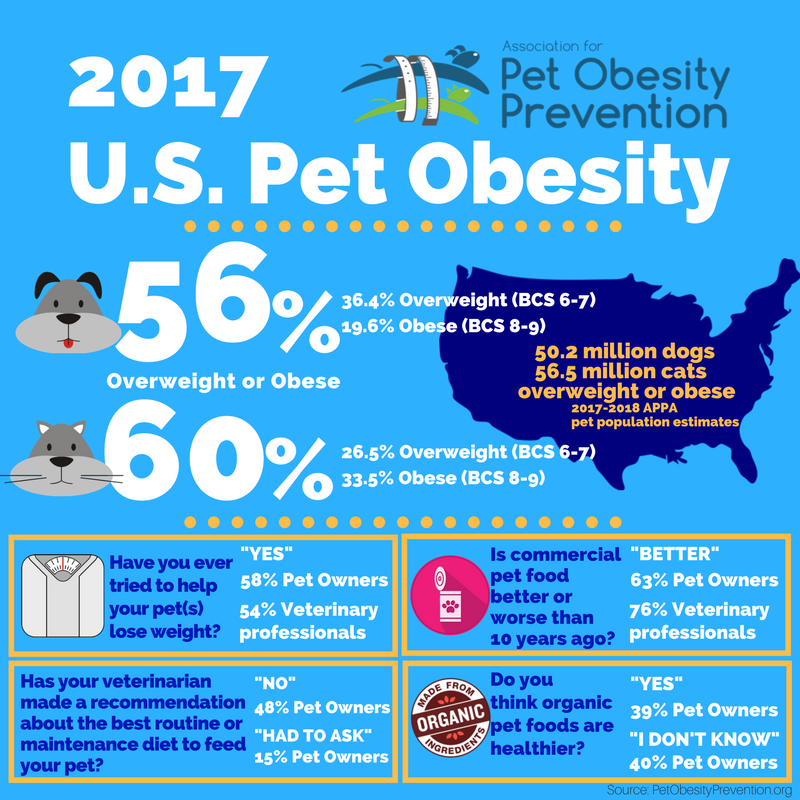 Cat Obesity Chart