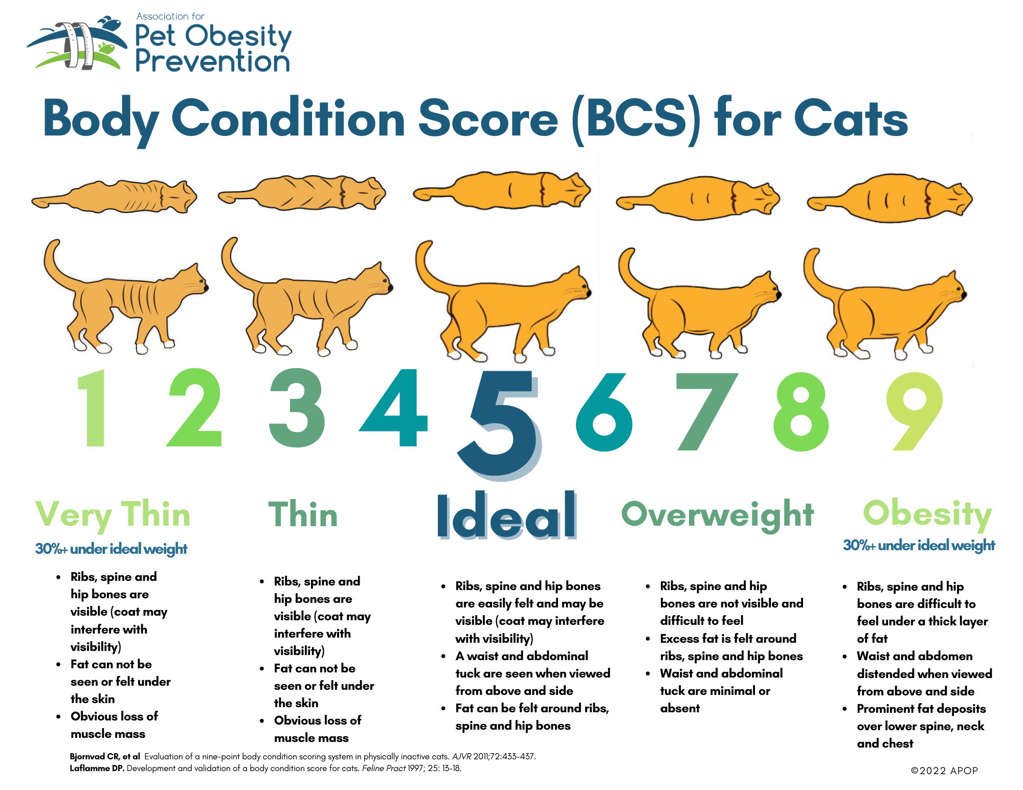 obesity chart