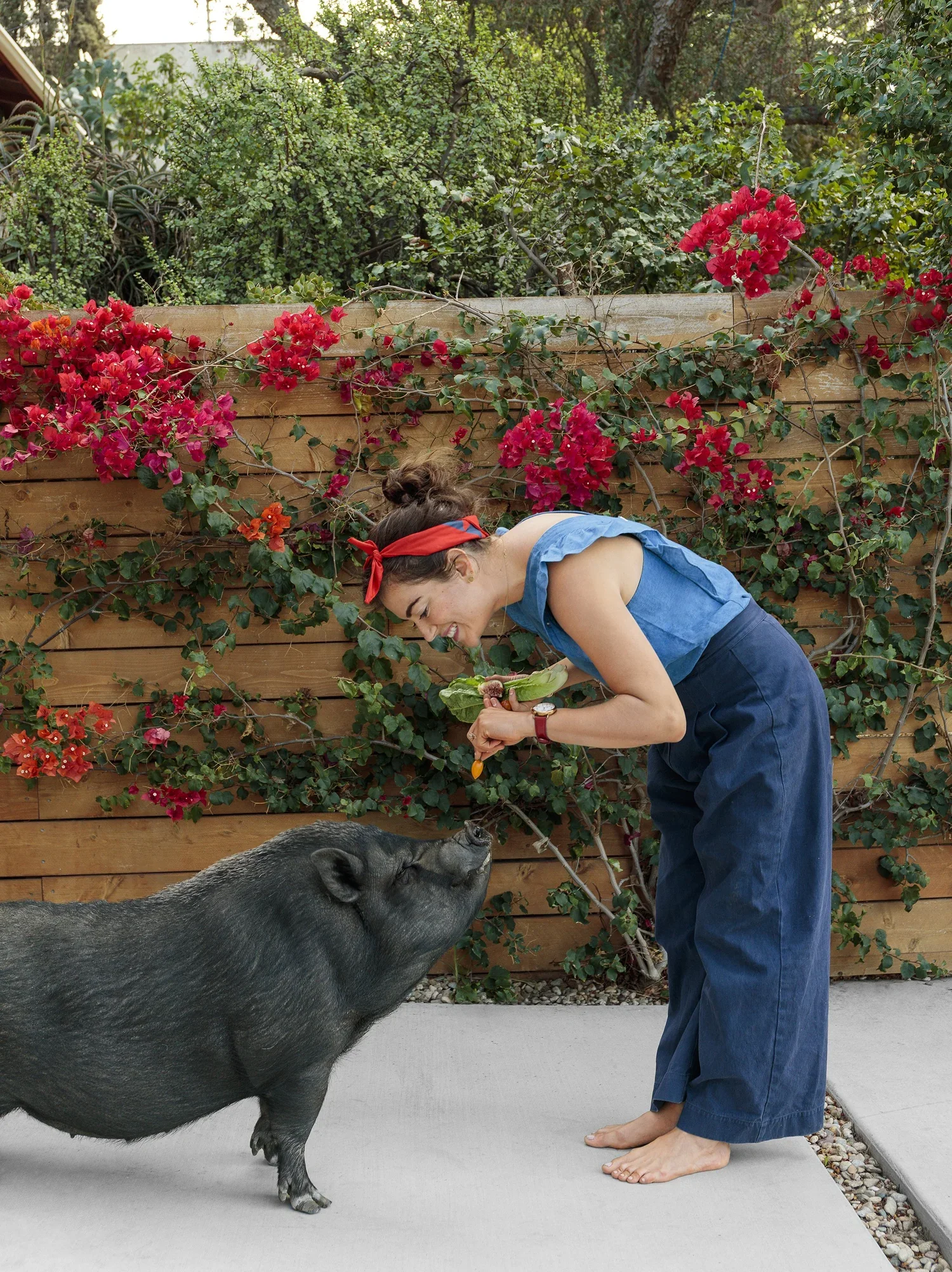 Ellen Bennett for Rachel Ray 