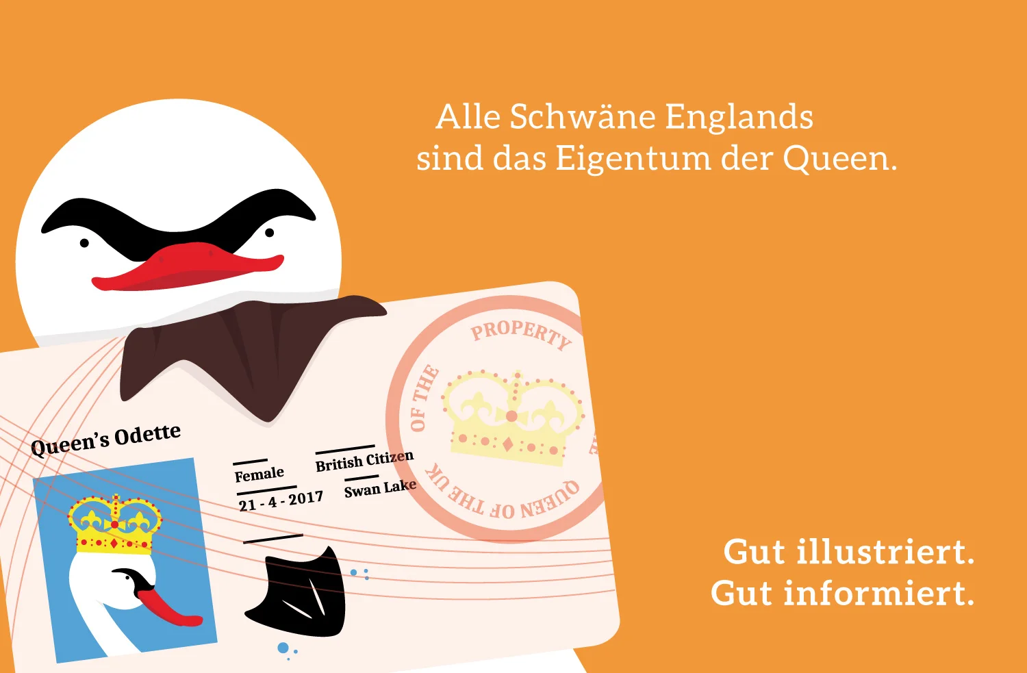Mini Infografik über Schwan von Elisabeth Deim