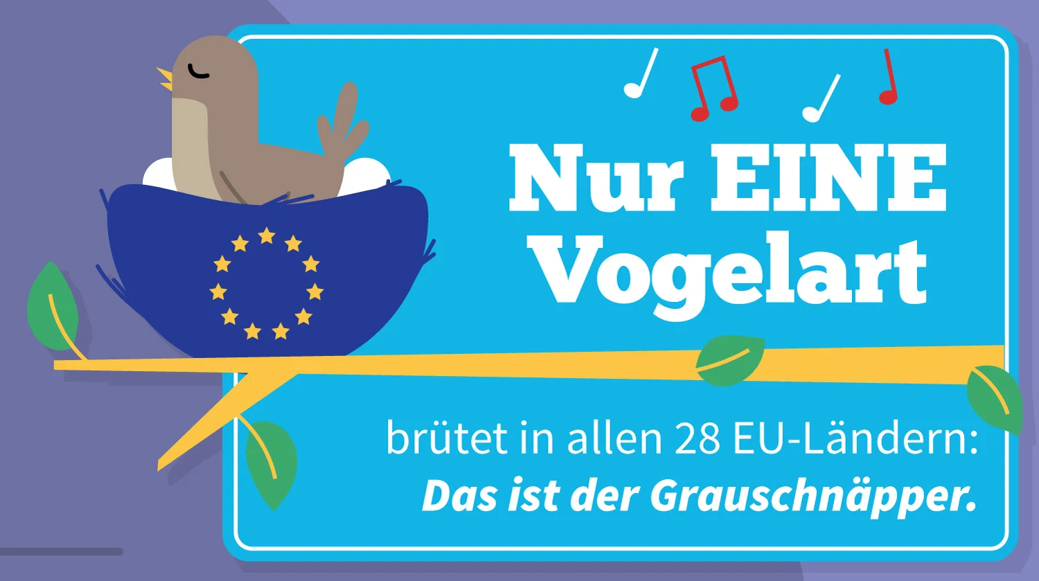 infografik-fakten-europa-grauschnaepper-elisabeth-deim.jpg