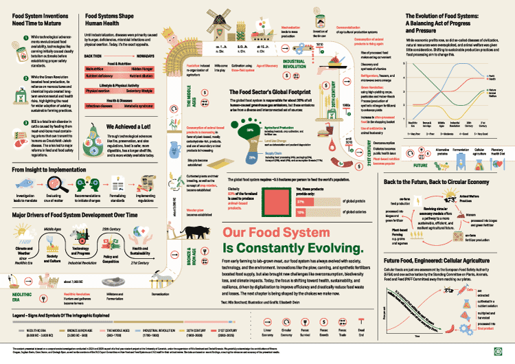 Ausschnitt Infografik „Entwicklung des Ernährungssystems“ - Elisabeth Deim