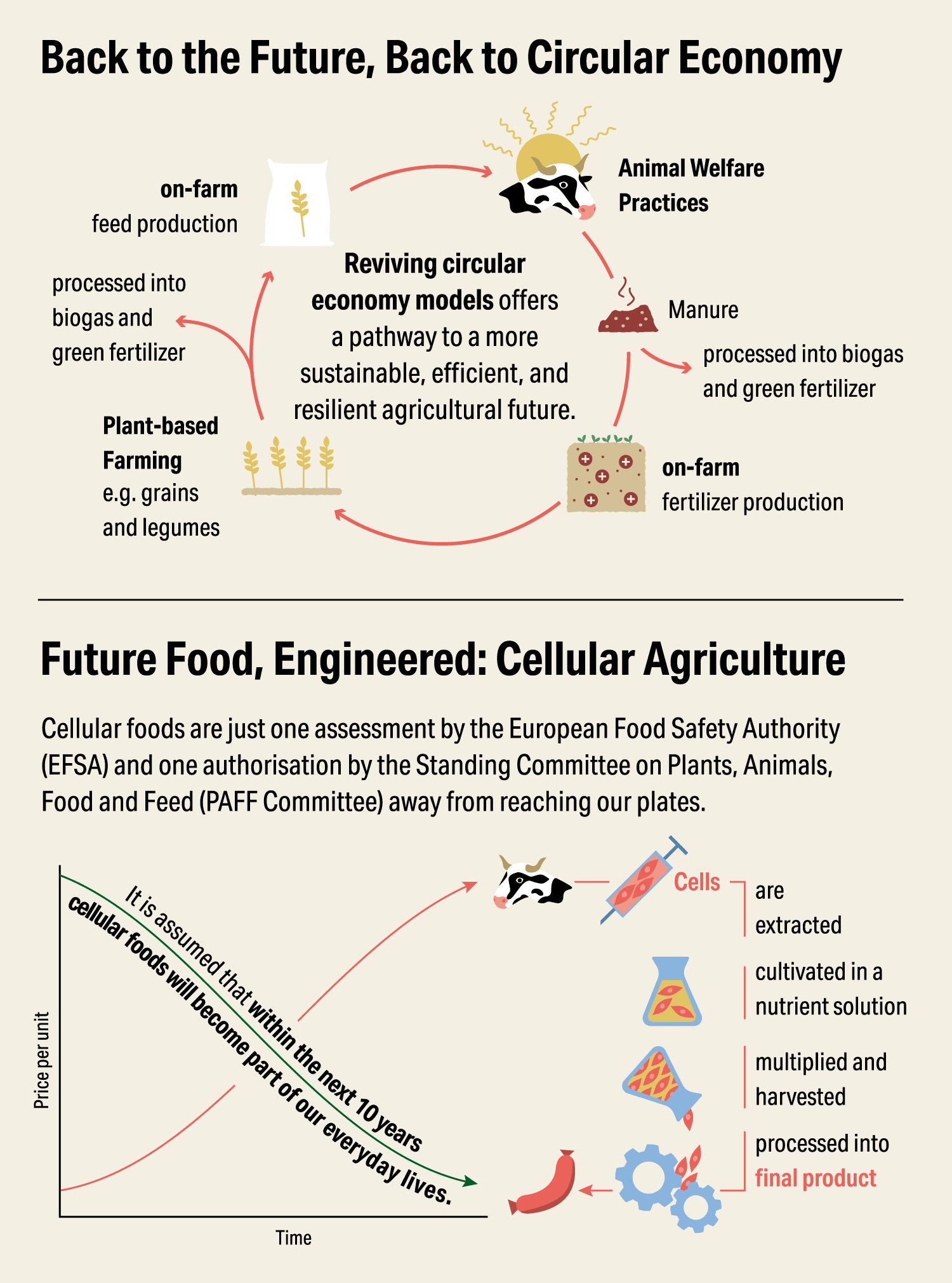 Ausschnitt Infografik „Entwicklung des Ernährungssystems“ - Elisabeth Deim