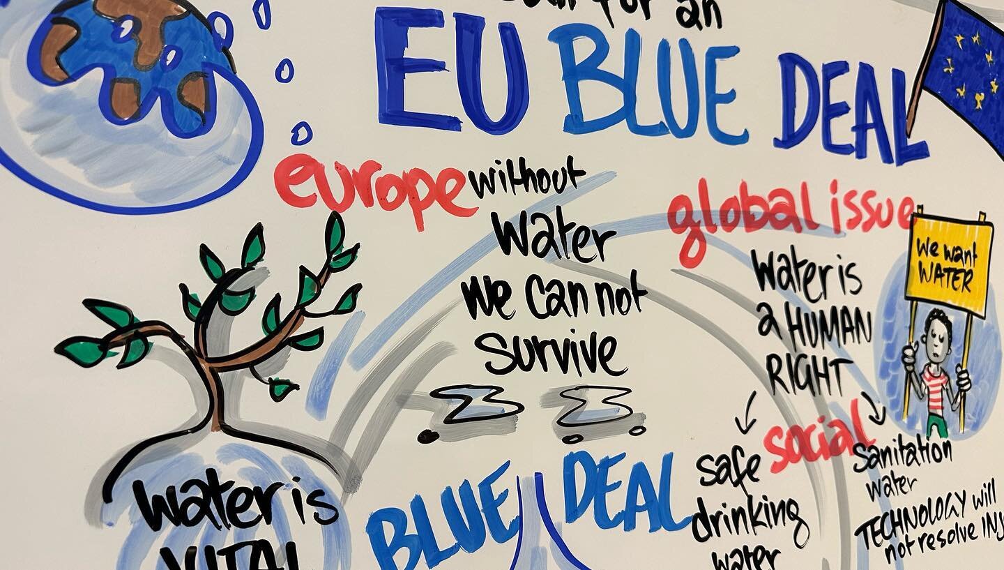 Water is a vital but an increasingly scarce resource. The EU Blue Feal is all about protecting that! I was honoured to be able to work with the organisers of this conference to create awareness and call for industry and legislative action #eubluedeal