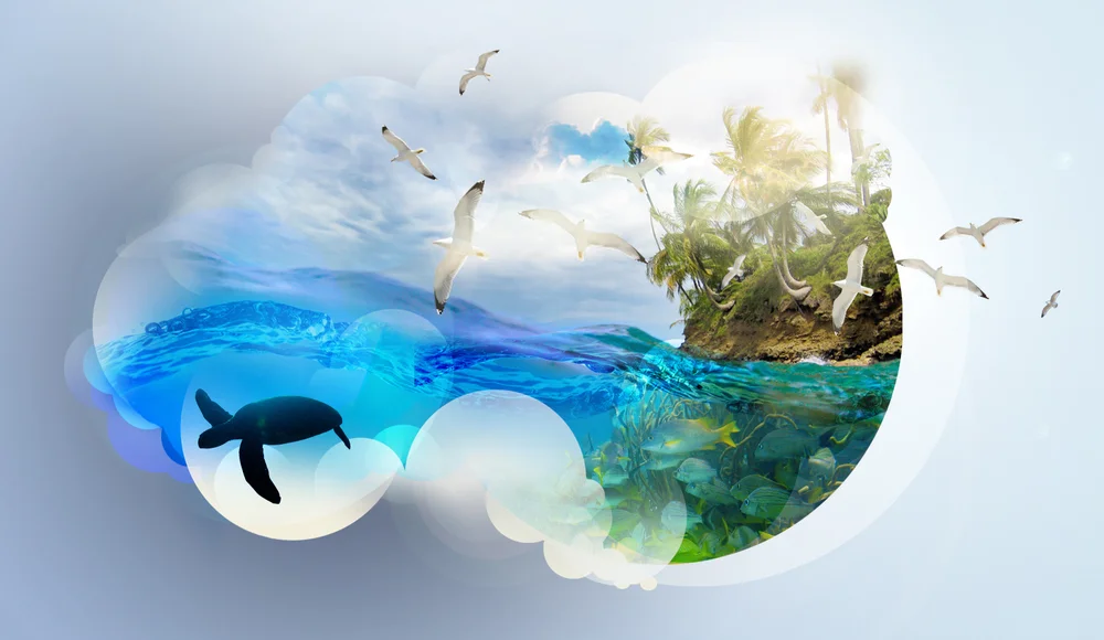 Lustre_AA_Hawaii_Board30524.jpg