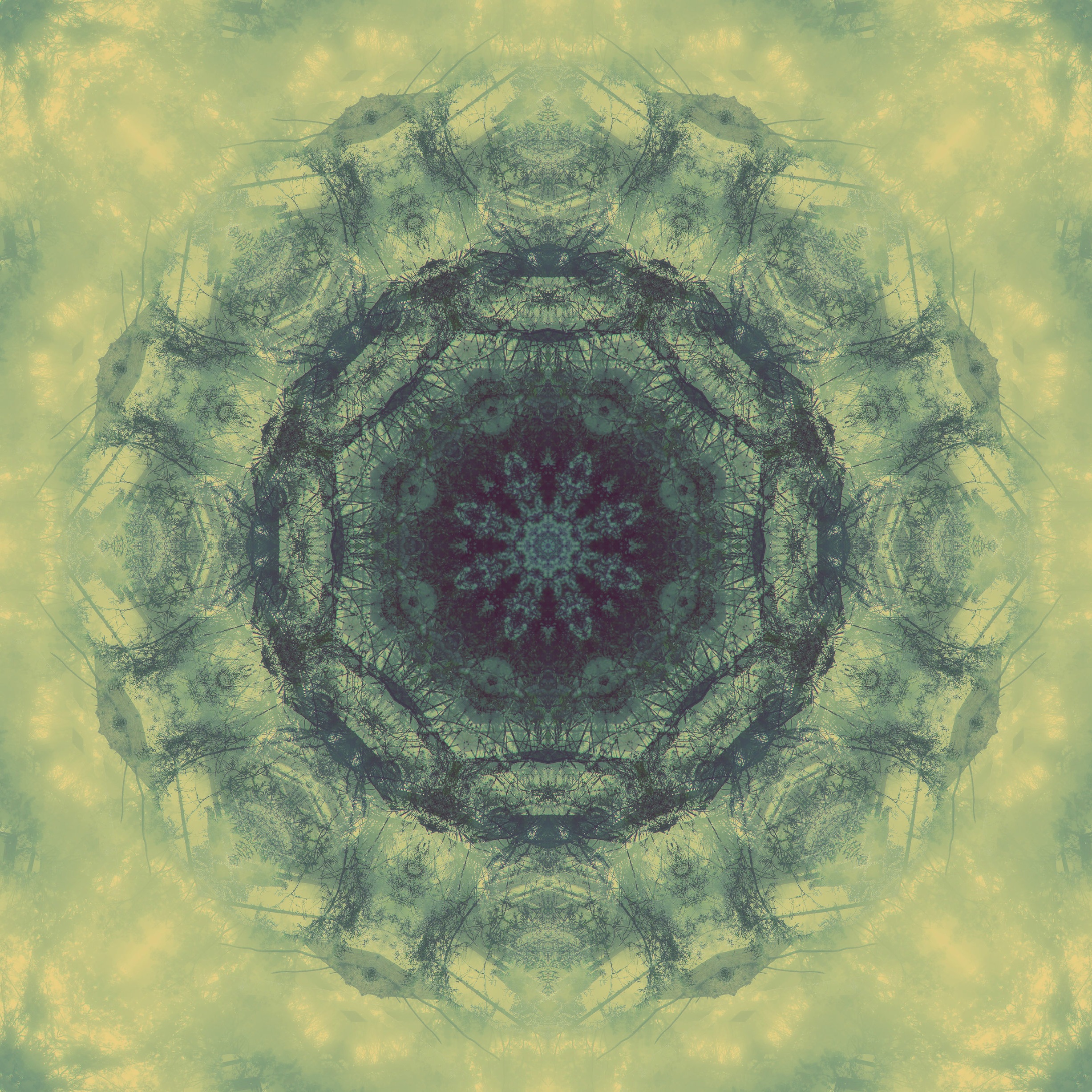 Made in Adobe Photoshop