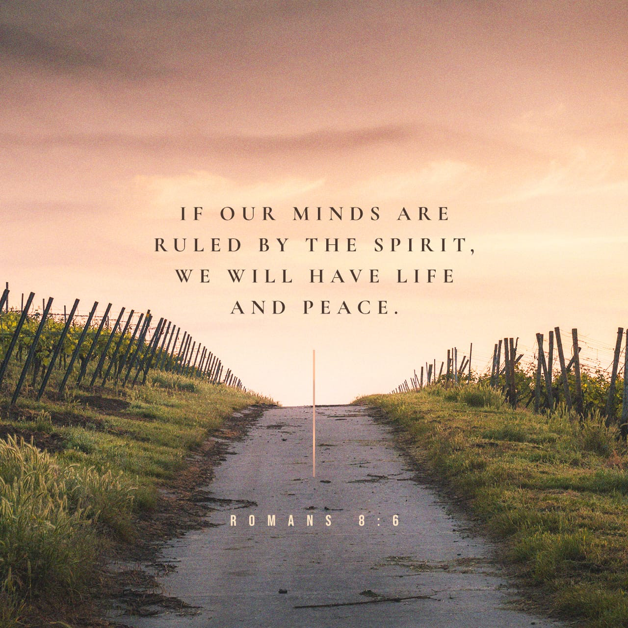 The Whole Gospel