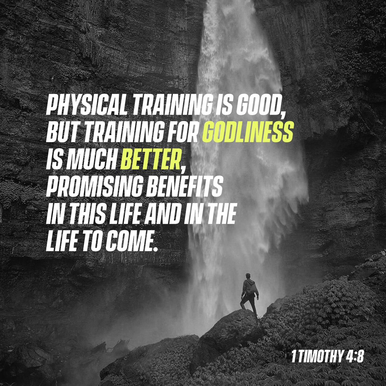 1 Timothy 4 - Food and Workouts