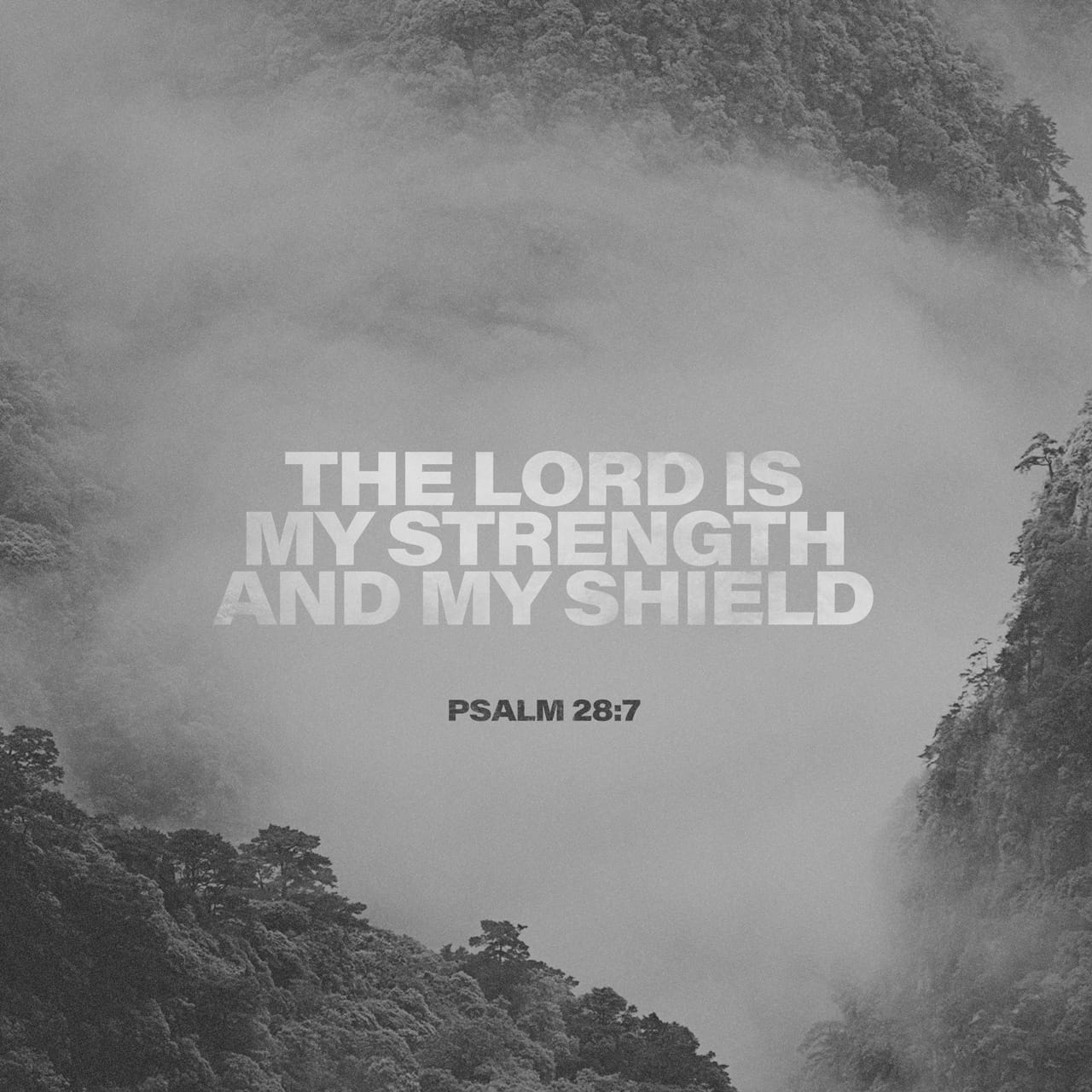 Psalms 28:7
