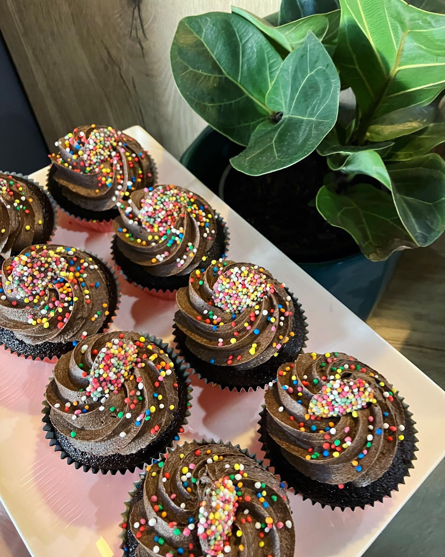 Chocolate fudge cupcakes w chocolate buttercream + sprinkles = happiness! 🧁 (available now until sold out)

#homemade #bakedinhouse #baking #morningtea #afternoontea #cakecabinetgoals #treatyoself #brisbaneeats #brisbanecafe #brisbanecoffee #localca