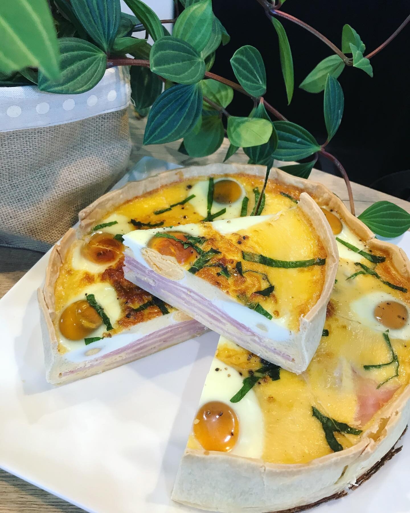 Housemade bacon and egg pie. Perfect on its own or add a side salad to make it a meal 😍 In the cabinet now! 

#lunch #brisbaneeats #morningtea #thebrisbanelifestyle #brisbanefoodie #brisbanefoodies #brisbaneanyday #brisbanebrunch #brisbanelunch #bri