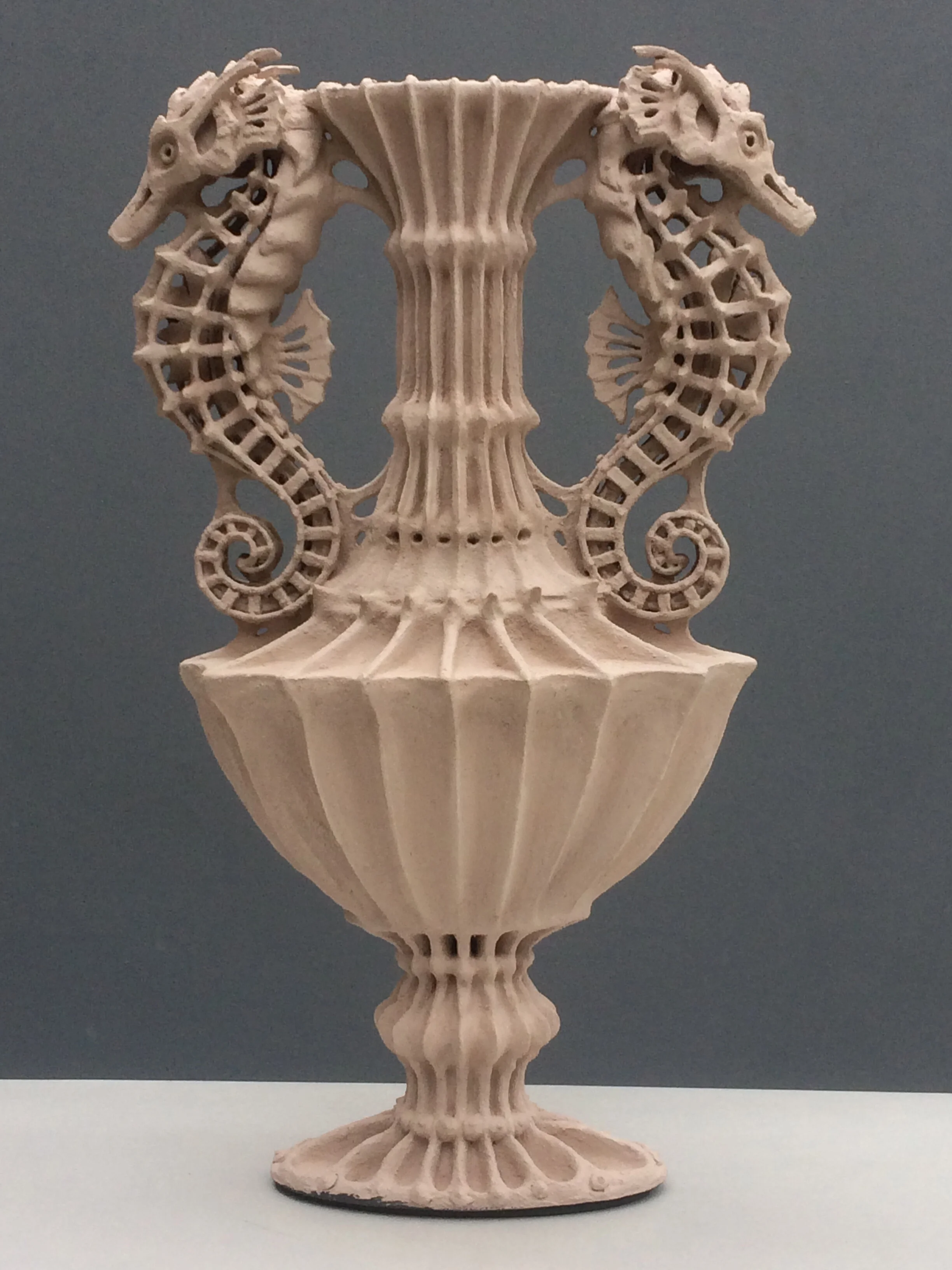 Hipocampus Raw 2.jpg