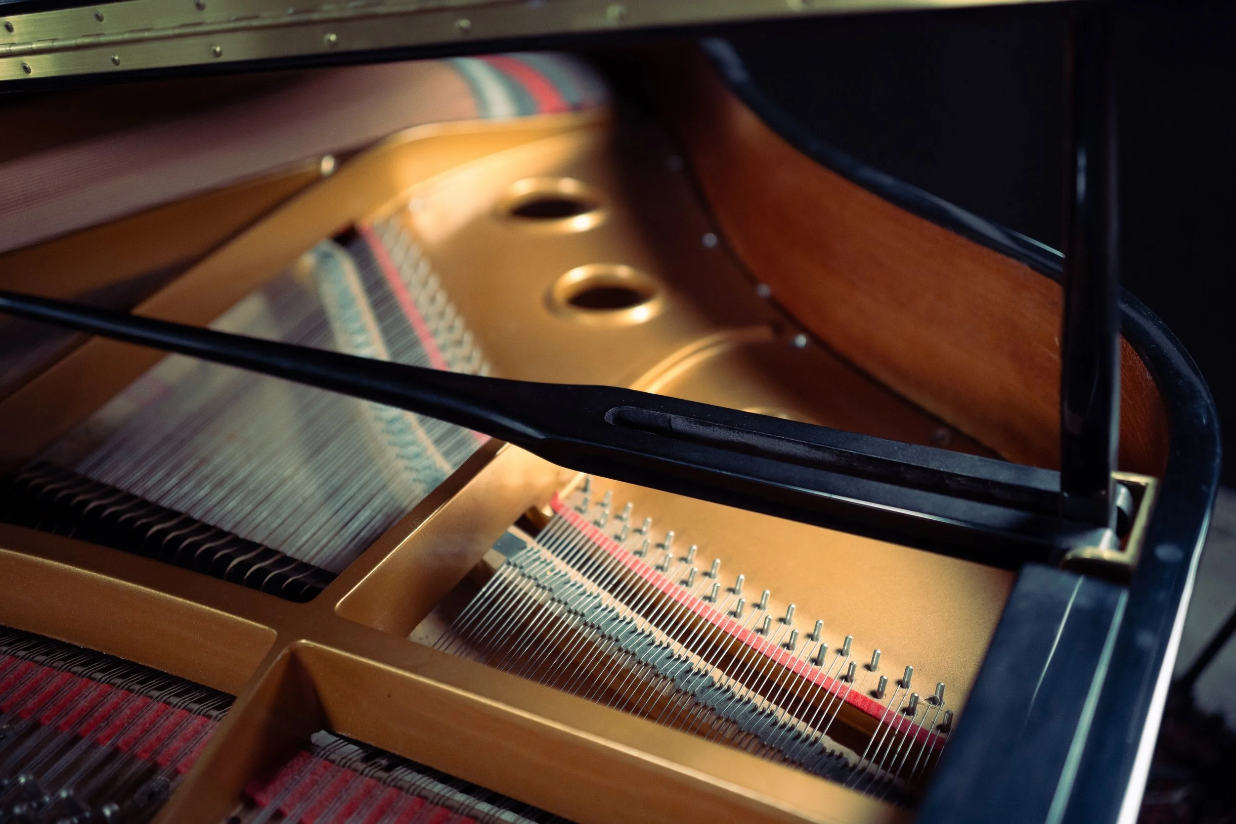 Inside view of a grand piano with strings and soundboard visible