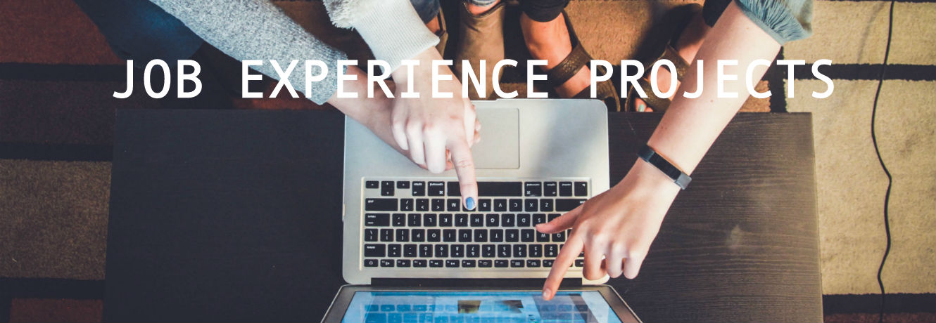 Job Experience Projects Banner.jpg