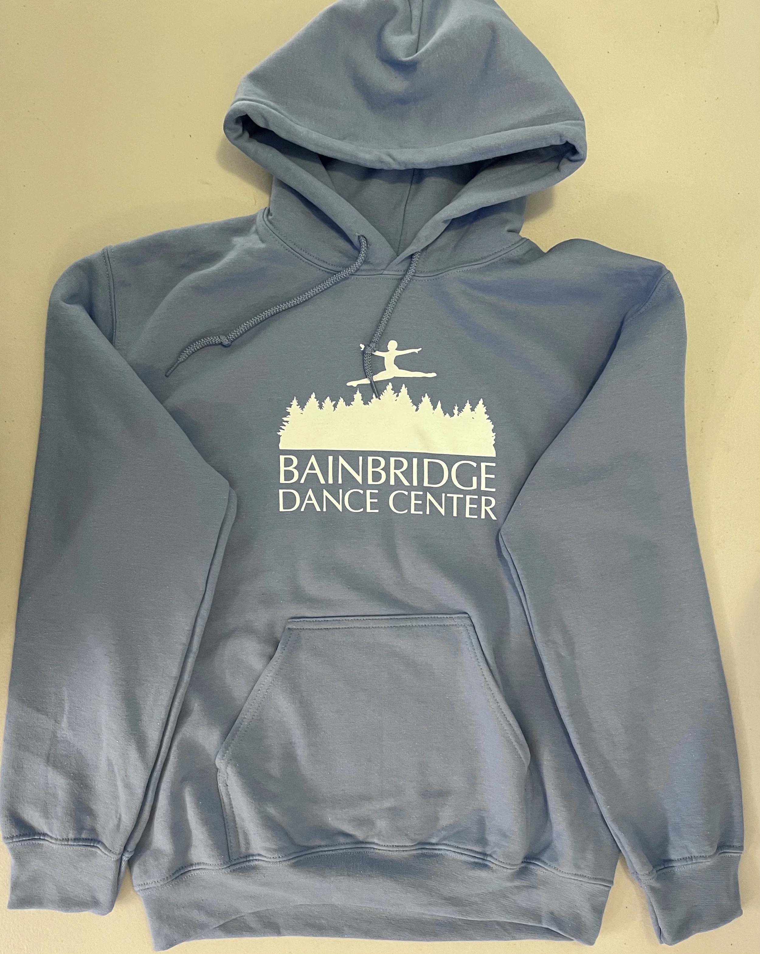 Adult Sweatshirt Blue jpeg.jpg