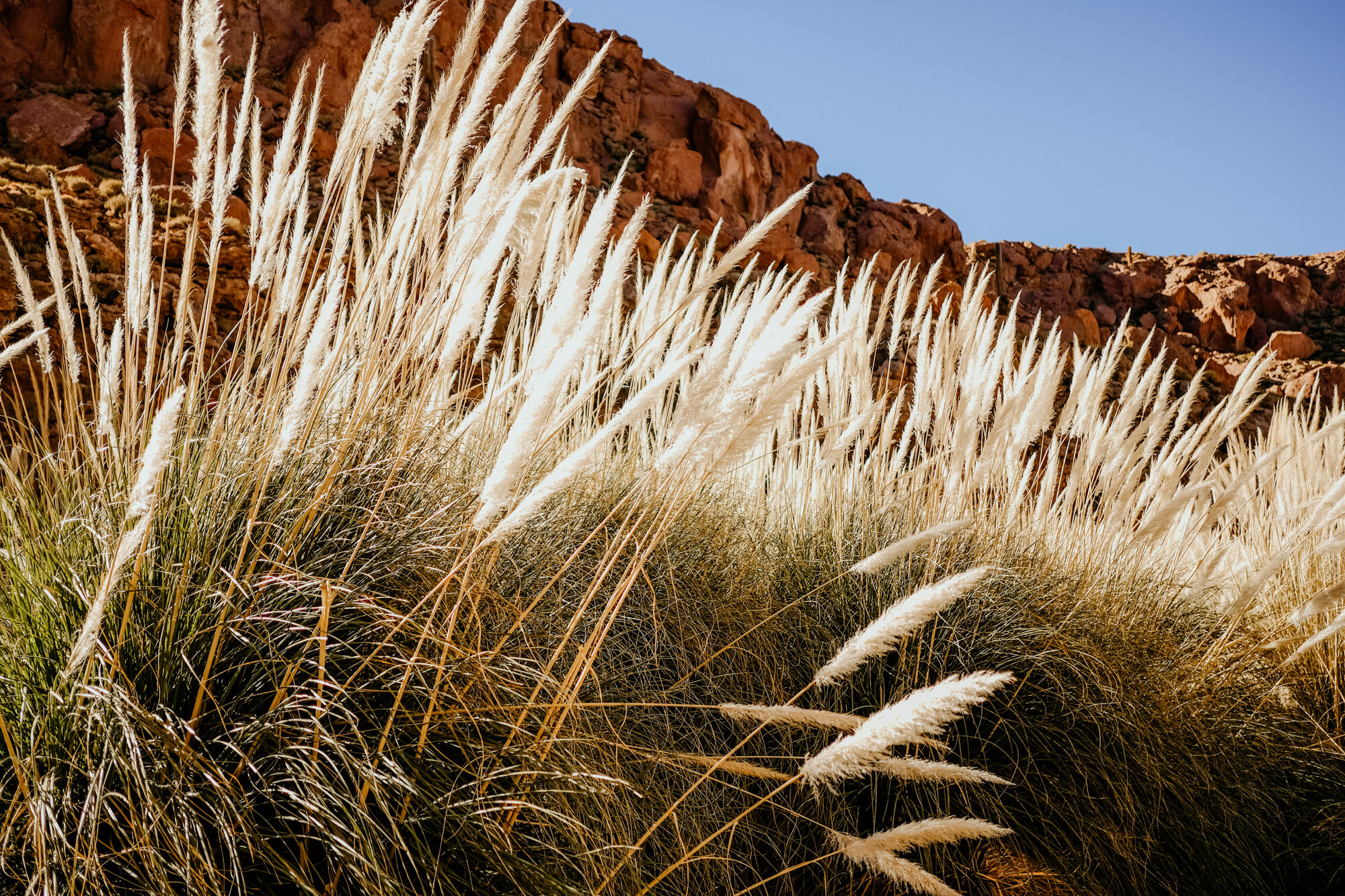 atacama_bolivia-65.jpg