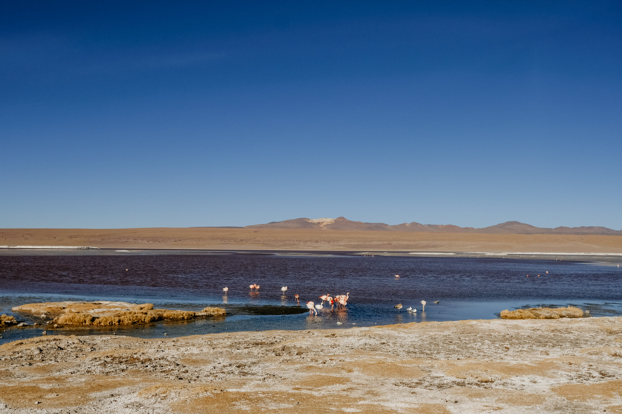 atacama_bolivia-157.jpg