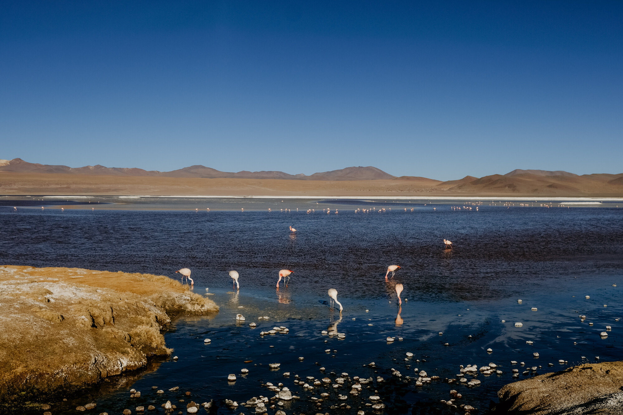 atacama_bolivia-160.jpg