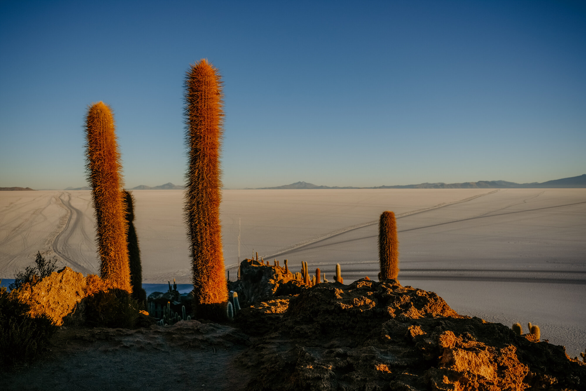 atacama_bolivia-290.jpg