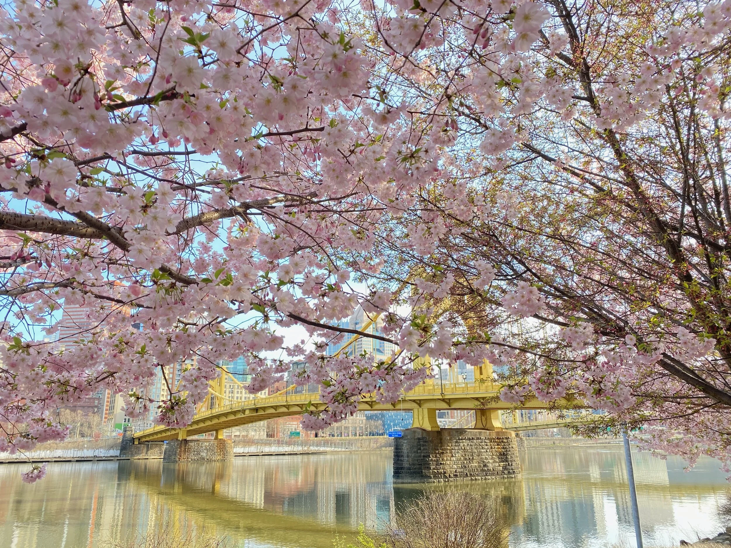 Coronavirus Quarantine &amp; Self Care