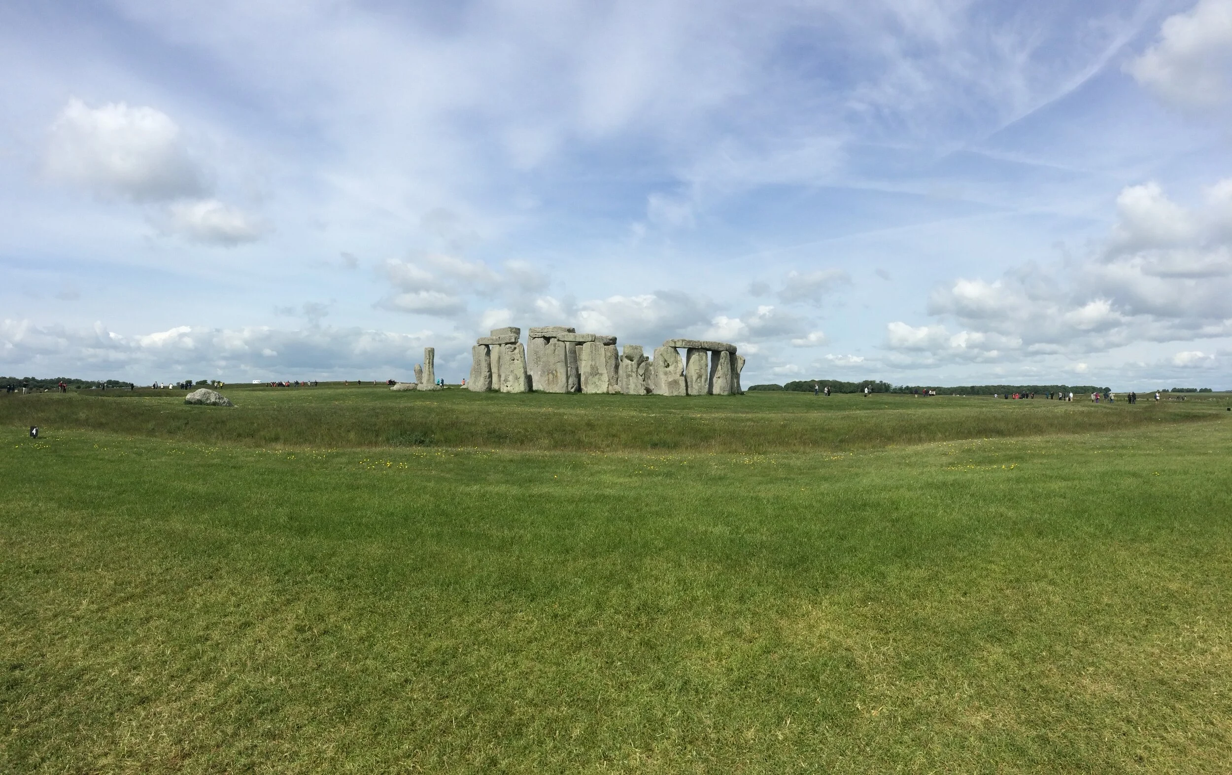 IMG_7142.jpeg
