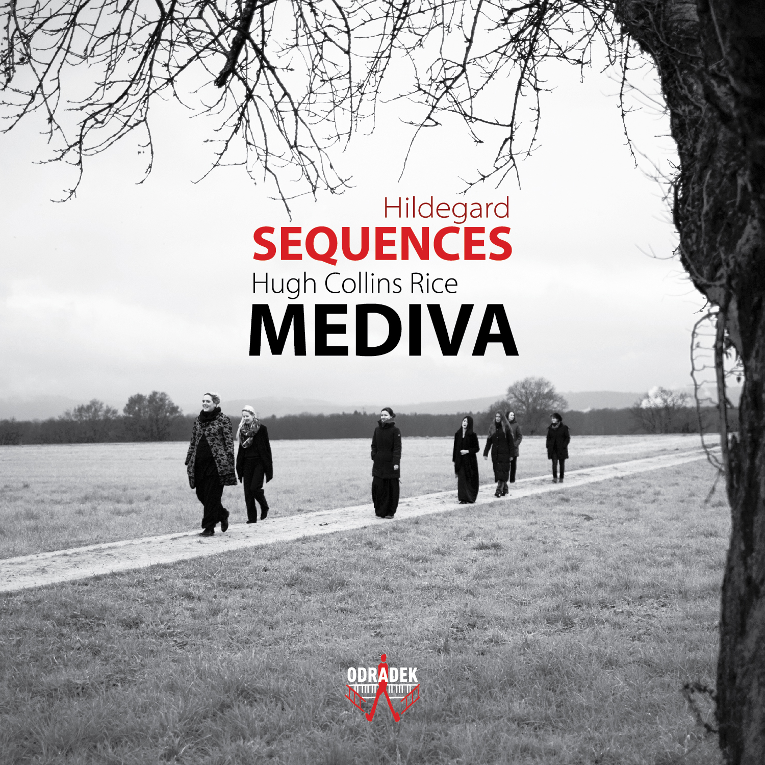Mediva-Sequences.jpg