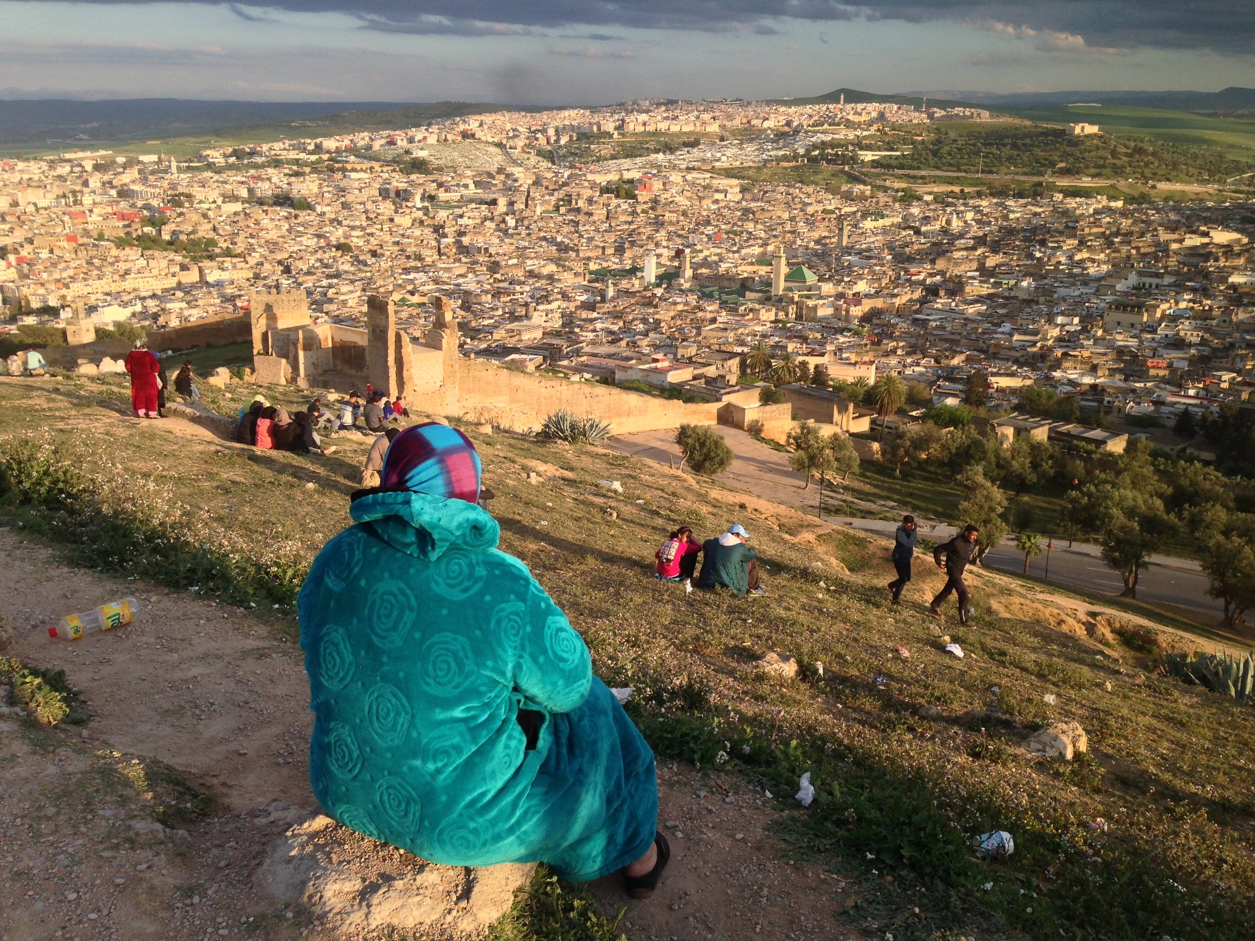 Pleasant walk round the Merinids Tombstones with stunning sight on the Medina of Fez