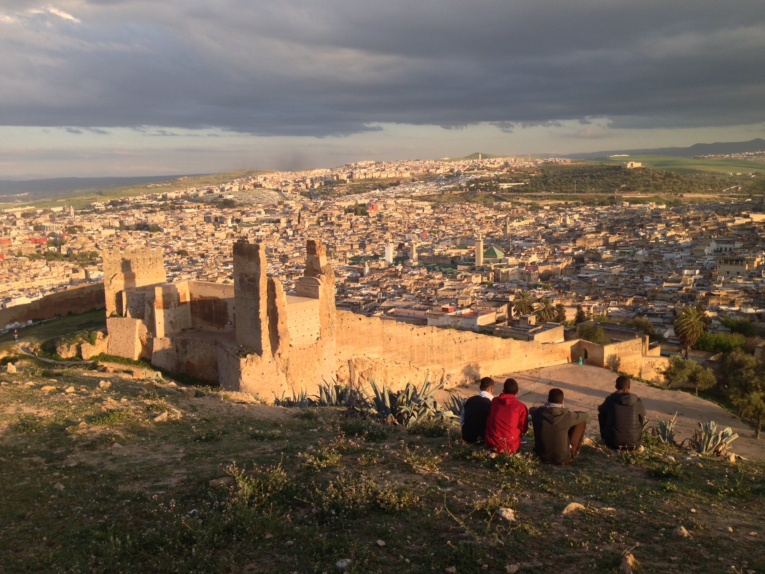 Pleasant walk round the Merinids Tombstones with stunning sight on the Medina of Fez