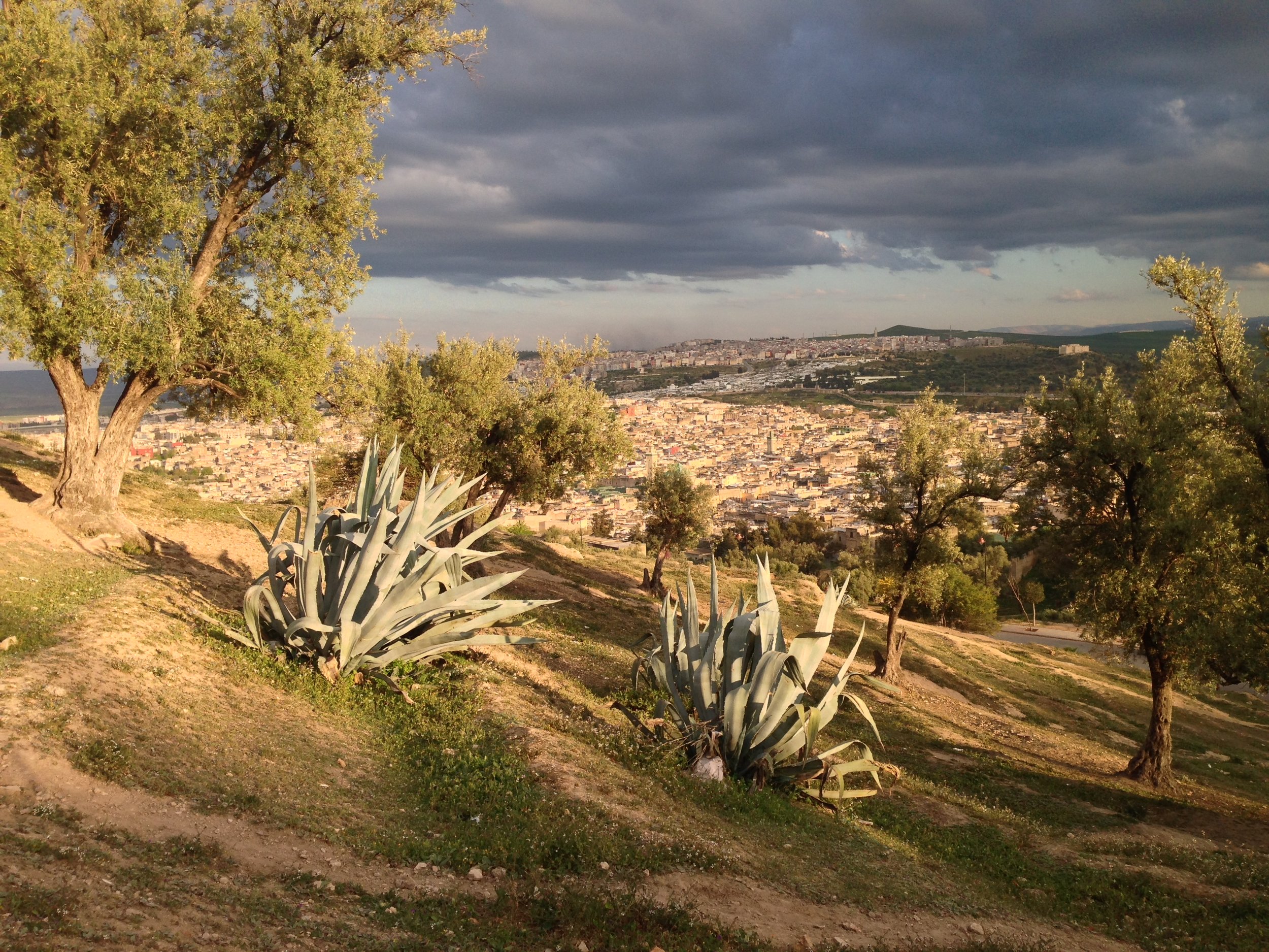 Pleasant walk round the Merinids Tombstones with stunning sight on the Medina of Fez