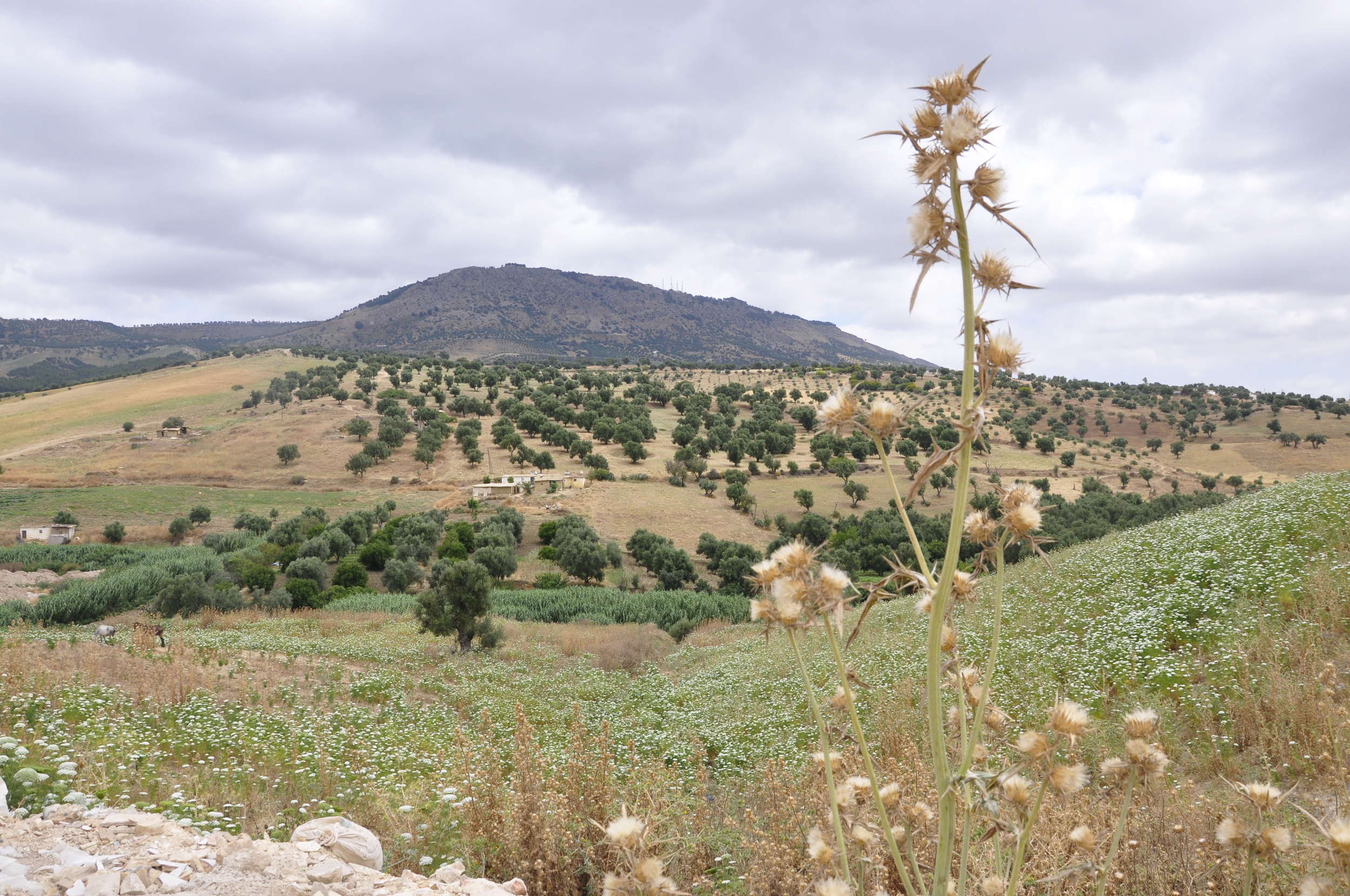 Trek to the Zalagh Mountain