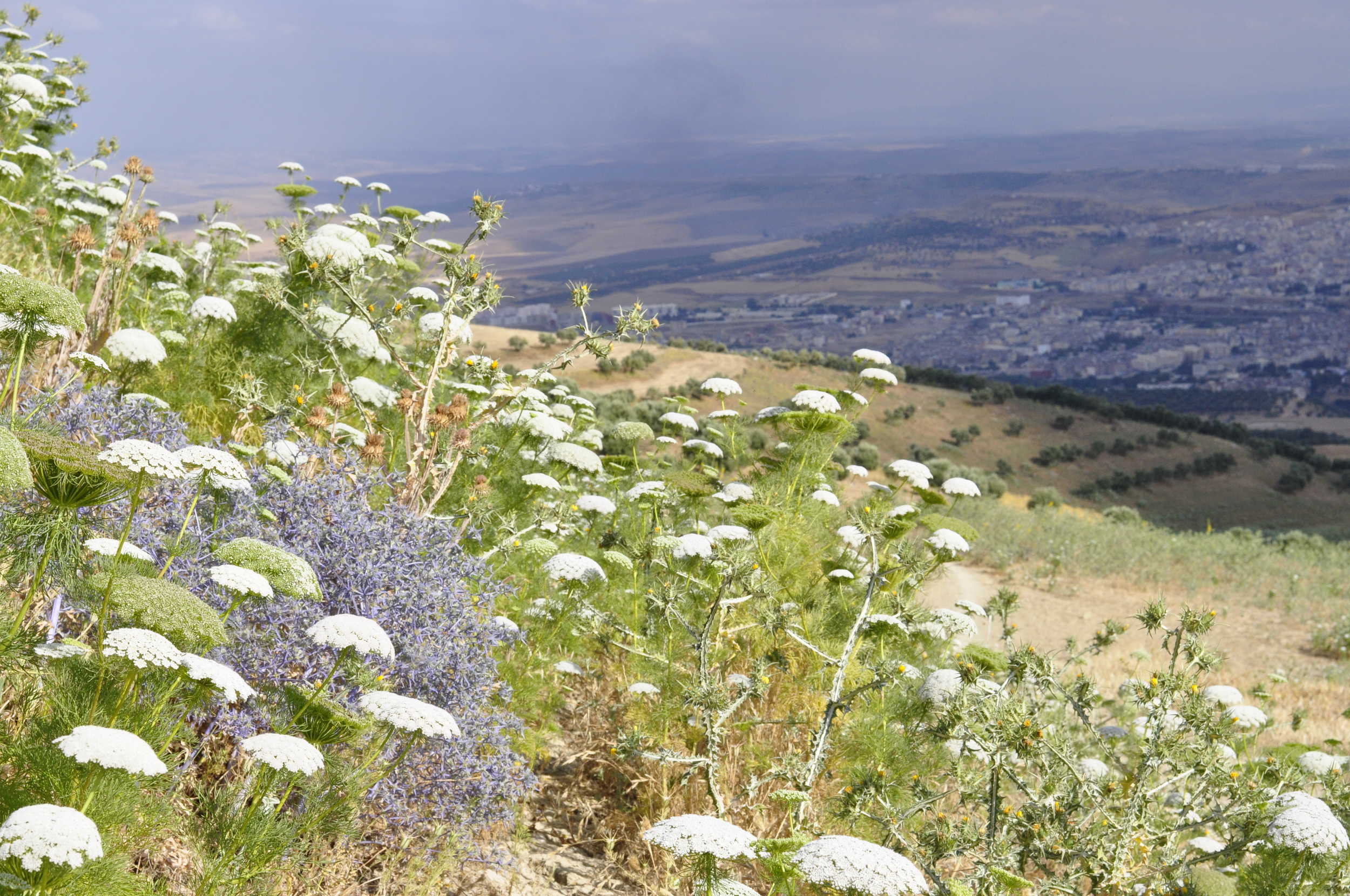 Stunning views from the mount Zalagh