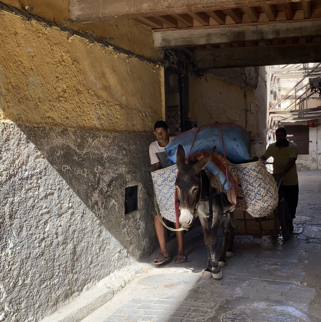  Donkey carrying crafts in fez medina 