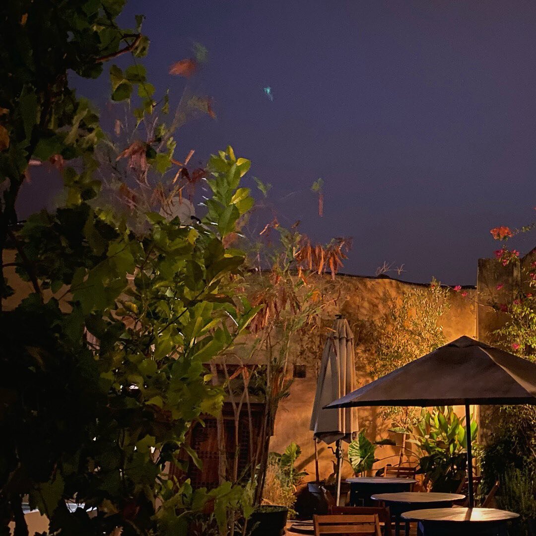 Come and enjoy our rooftop, the Sun is back in Morocco. 🌙✨

#morocco #rooftop #terrasse #medina #riadlovers #riad #fairtourism #nightphotography #summer #fes #fezmorocco