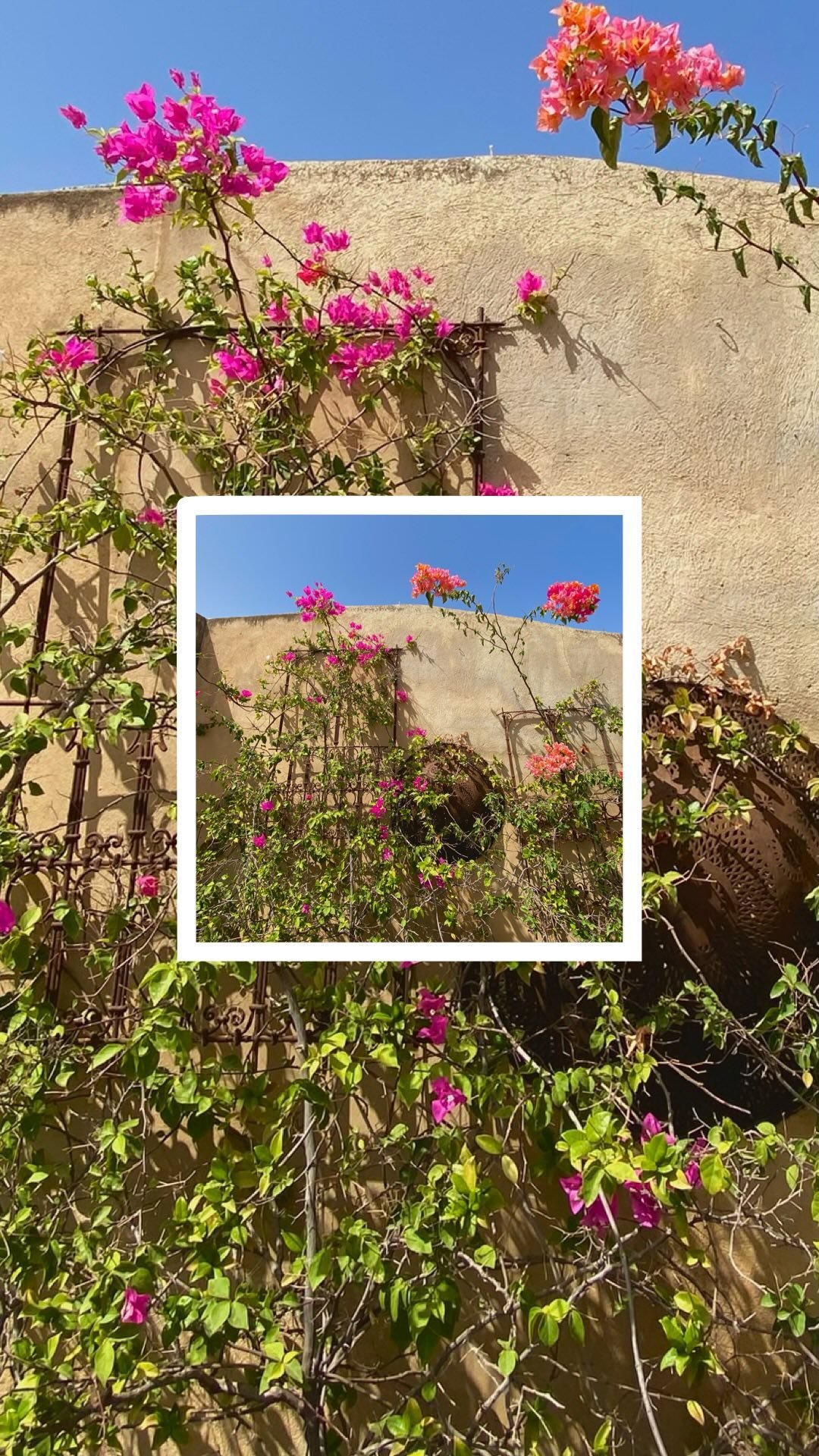 Nous vous invitons à une balade au cœur de la médina de Fès. À travers ses ruelles, ses souks et ses bâtiments uniques, découvrez l’architecture de Fès, berceau de l’art islamique, une