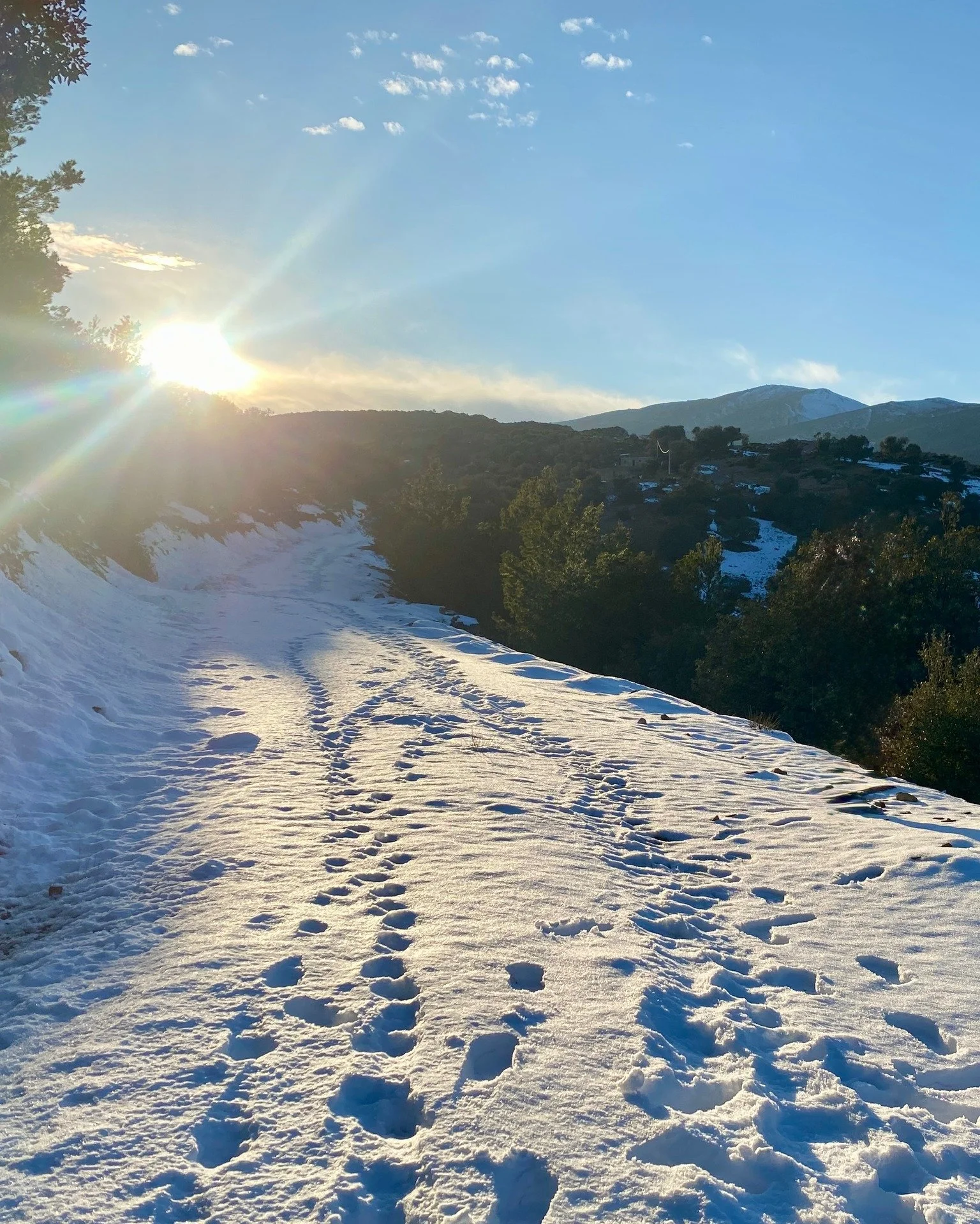 January light 
Dar 7 Louyat, Fez 
#RiadFes #slowTravel #winterLight