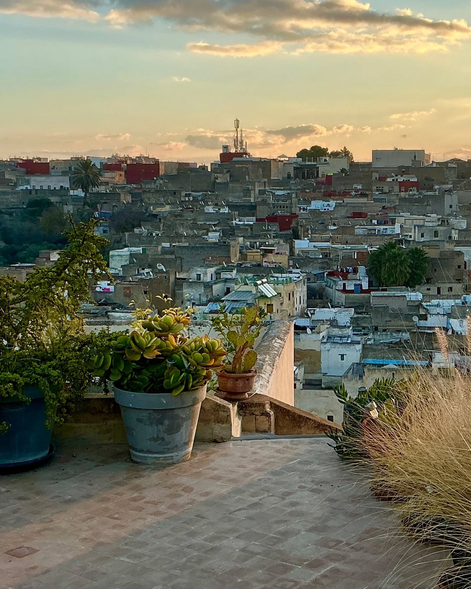 Early light and quiet rooftops in Fes.
#MorningLight #FesMedina #RooftopMorning #SlowTravel #QuietLuxury
#TerraceView #BoutiqueStay #Dar7Louyat